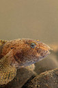 BUITEN BEELD Foto: 323634