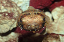BUITEN BEELD Foto: 323670