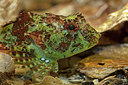 BUITEN BEELD Foto: 323674