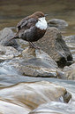 BUITEN BEELD Foto: 323700