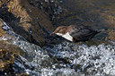 BUITEN BEELD Foto: 323721