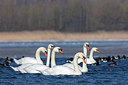 BUITEN BEELD Foto: 323723