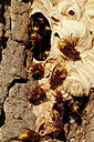 BUITEN BEELD Foto: 323790