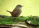 BUITEN BEELD Foto: 323793