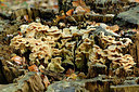 BUITEN BEELD Foto: 323798
