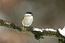 BUITEN BEELD Foto: 323804