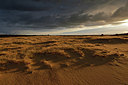 BUITEN BEELD Foto: 323843