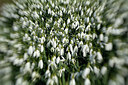 BUITEN BEELD Foto: 323844