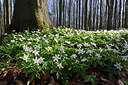 BUITEN BEELD Foto: 323845