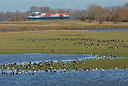 BUITEN BEELD Foto: 323862