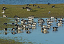 BUITEN BEELD Foto: 323864