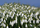 BUITEN BEELD Foto: 323868