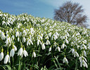 BUITEN BEELD Foto: 323888