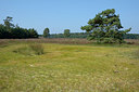 BUITEN BEELD Foto: 323892