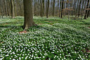 BUITEN BEELD Foto: 323898