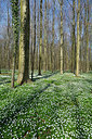 BUITEN BEELD Foto: 323899
