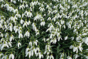 BUITEN BEELD Foto: 323901