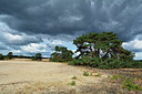 BUITEN BEELD Foto: 323908