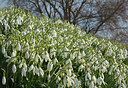 BUITEN BEELD Foto: 323916