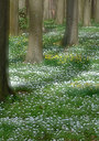BUITEN BEELD Foto: 323926