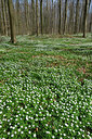 BUITEN BEELD Foto: 323928