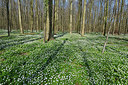 BUITEN BEELD Foto: 323929