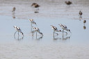 BUITEN BEELD Foto: 323958