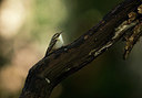 BUITEN BEELD Foto: 324013