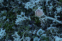 BUITEN BEELD Foto: 324015