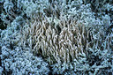BUITEN BEELD Foto: 324025