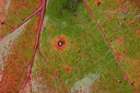 BUITEN BEELD Foto: 324030