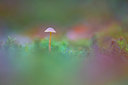BUITEN BEELD Foto: 324033