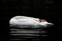 BUITEN BEELD Foto: 324064