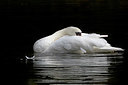 BUITEN BEELD Foto: 324066