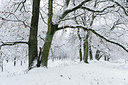 BUITEN BEELD Foto: 324132