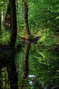 BUITEN BEELD Foto: 324148