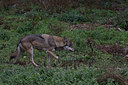 BUITEN BEELD Foto: 324171
