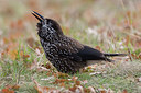 BUITEN BEELD Foto: 324203