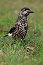 BUITEN BEELD Foto: 324210
