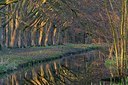 BUITEN BEELD Foto: 324220