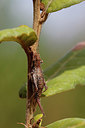 BUITEN BEELD Foto: 324244