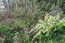 BUITEN BEELD Foto: 324276