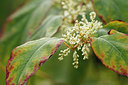 BUITEN BEELD Foto: 324277