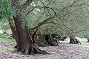 BUITEN BEELD Foto: 324279