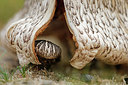 BUITEN BEELD Foto: 324281