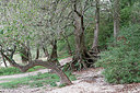 BUITEN BEELD Foto: 324282