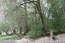 BUITEN BEELD Foto: 324283
