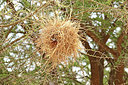BUITEN BEELD Foto: 324289