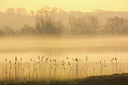 BUITEN BEELD Foto: 324358