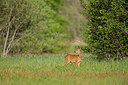 BUITEN BEELD Foto: 324391